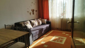 Apartament Nîsner-Bistritz